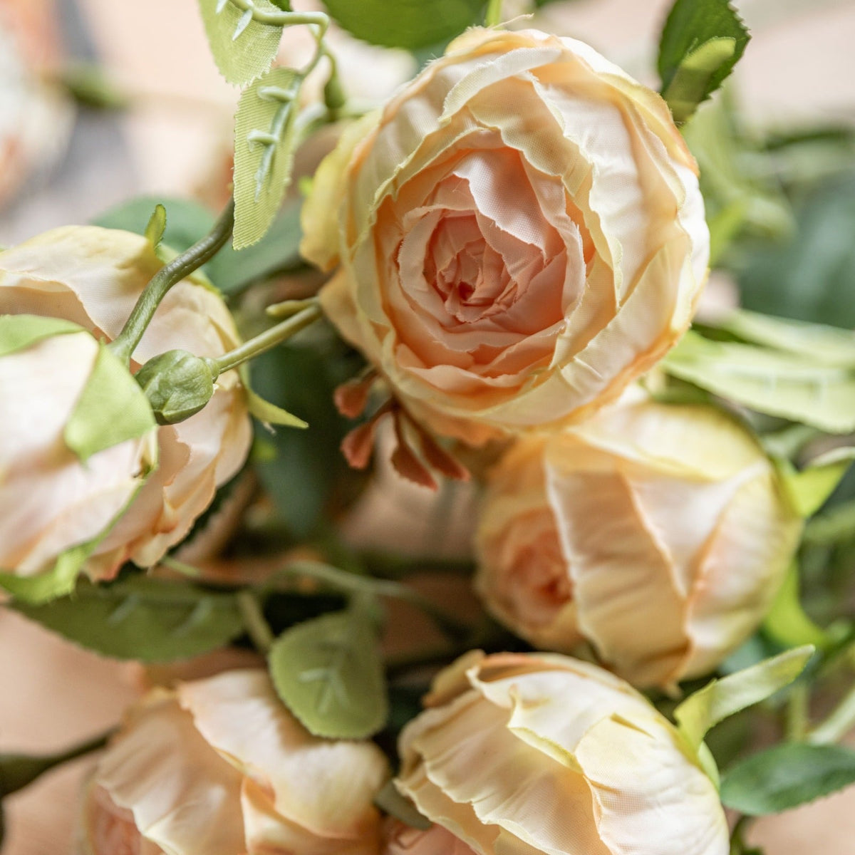 Faux Stem Vintage Rose White Set of 6