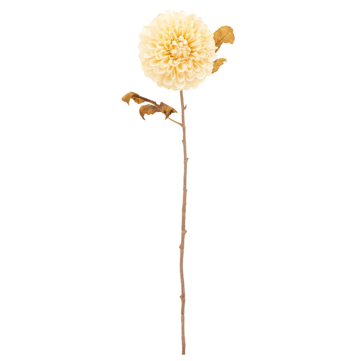 Faux Stem Dahlia in Ivory Set of 6