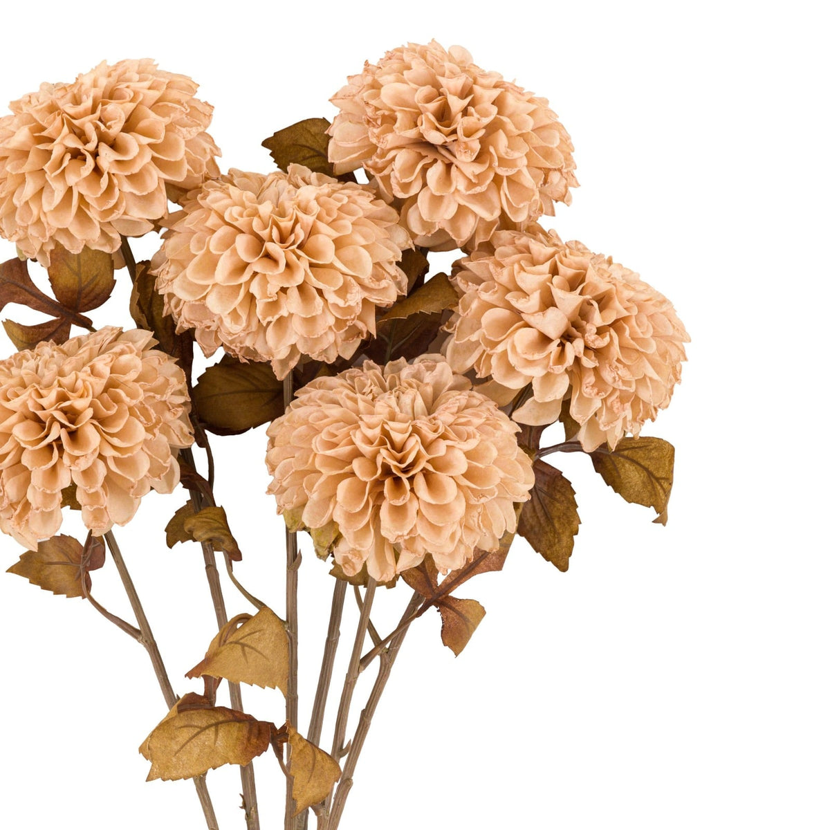 Faux Stem Dahlia in Ivory Set of 6