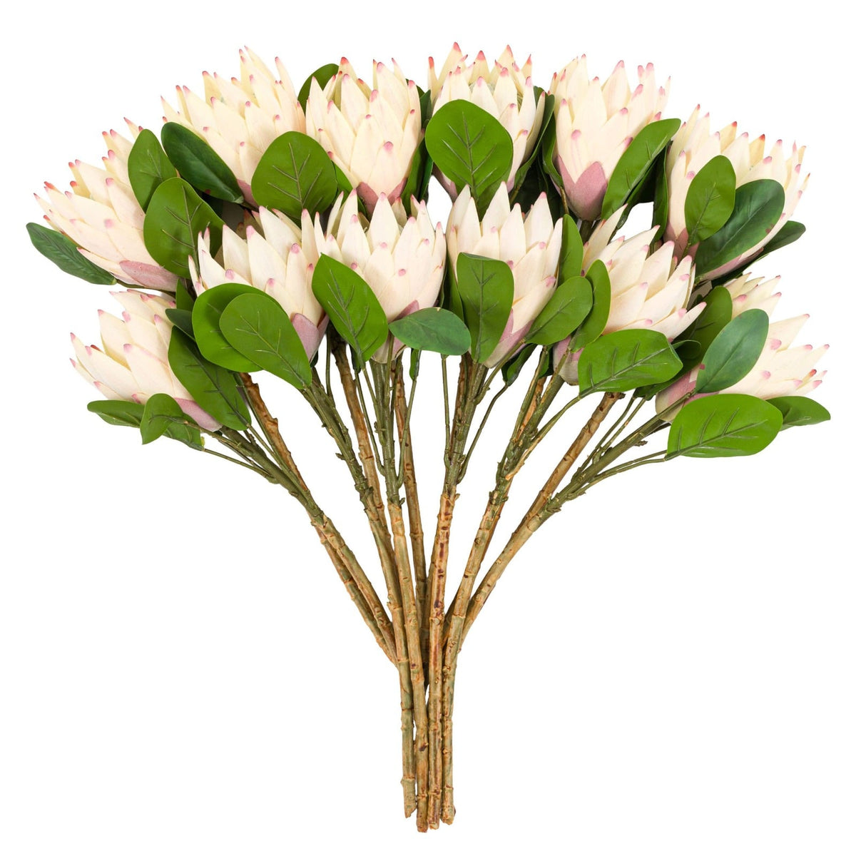 Faux Stem Statement Tropical in Ivory Set of 12