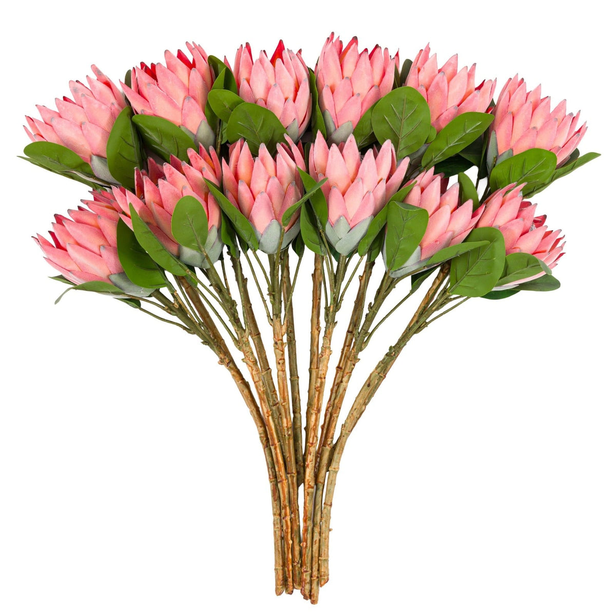 Faux Stem Statement Tropical in Apricot Set of 12