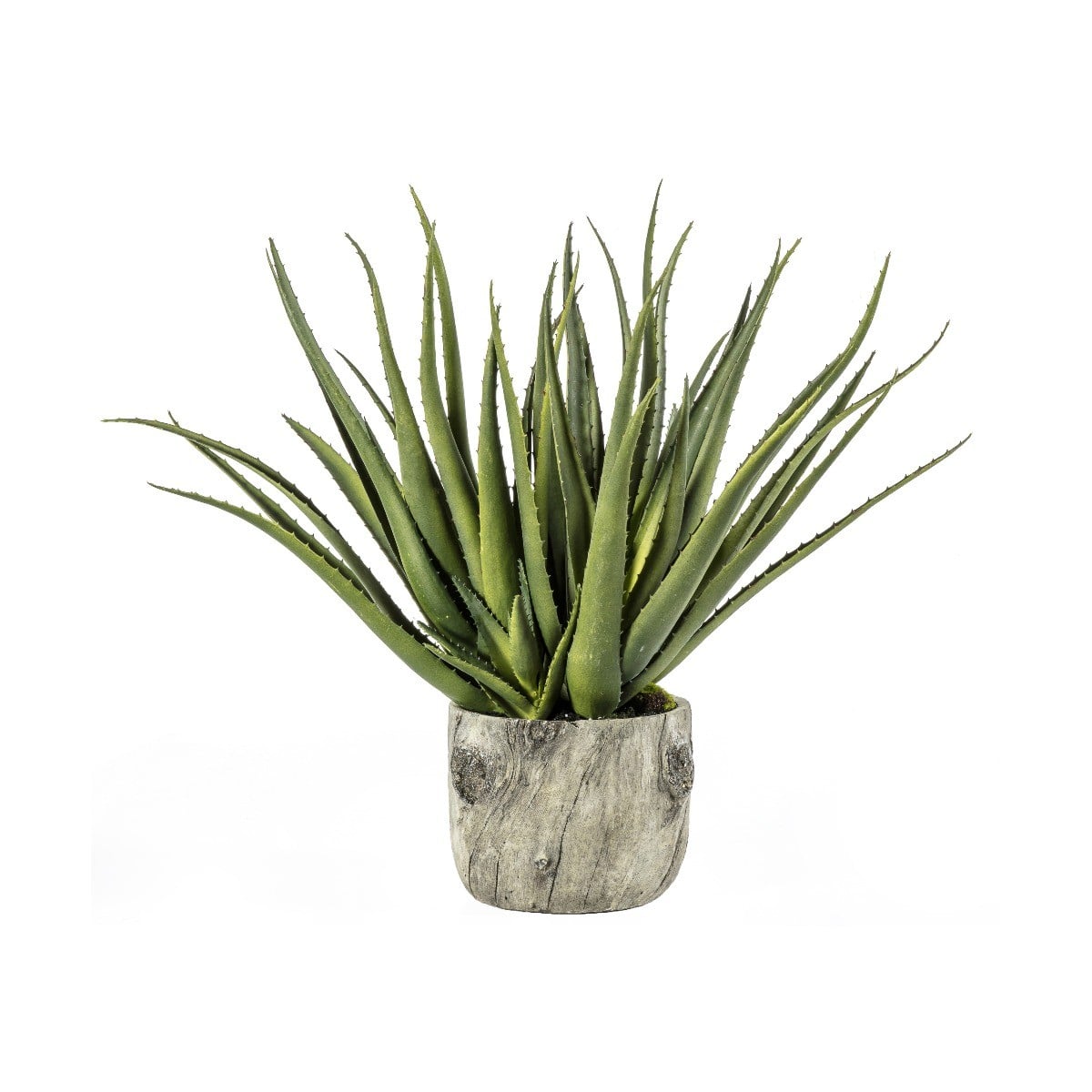 Aloe in Pot w/Bark Effect H.153cm