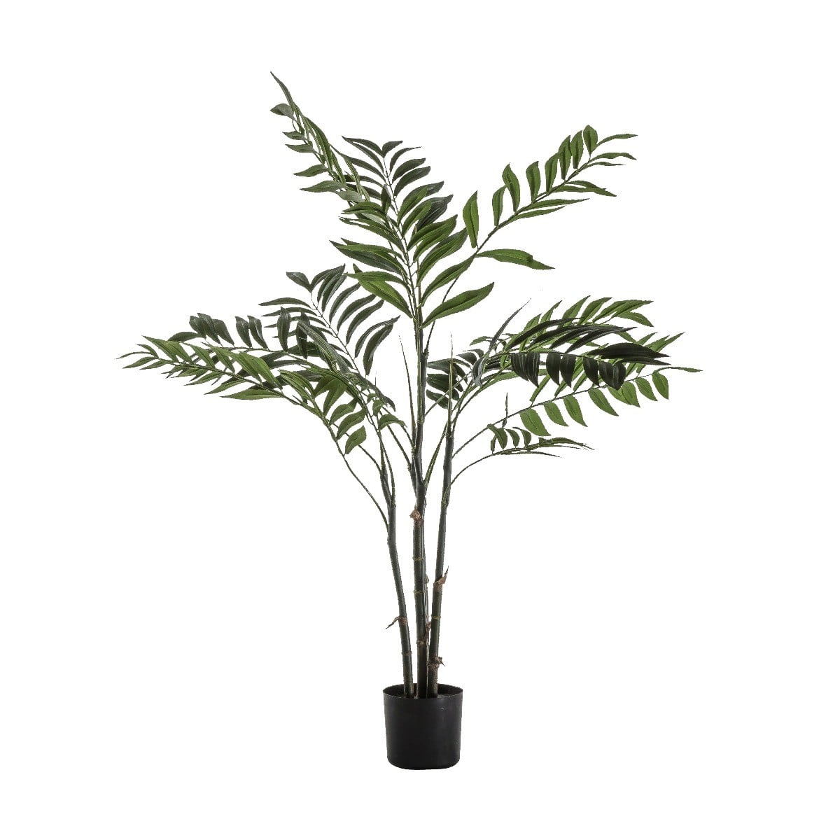 Areca Palm Tree Small H.91cm