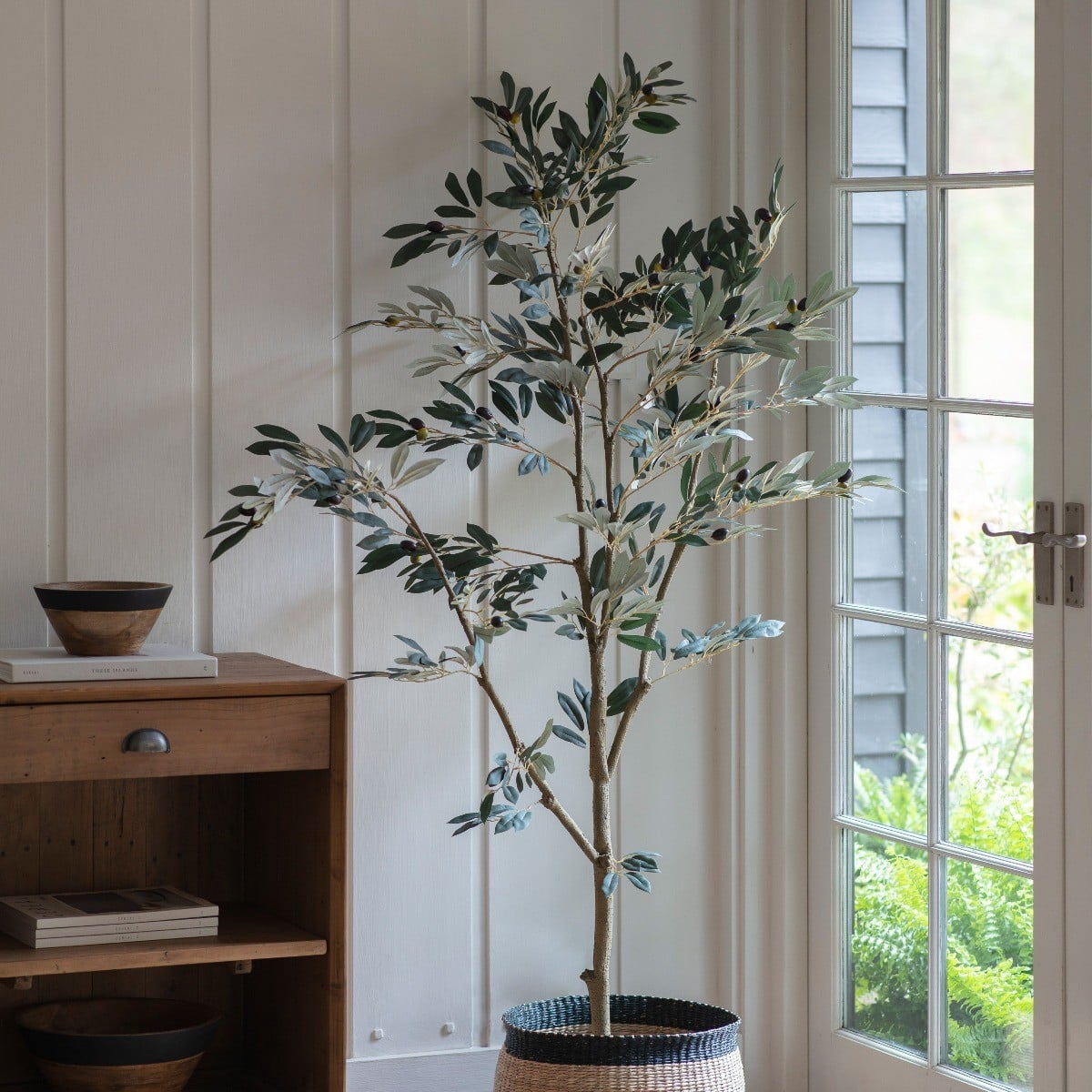Olive Tree H.182cm