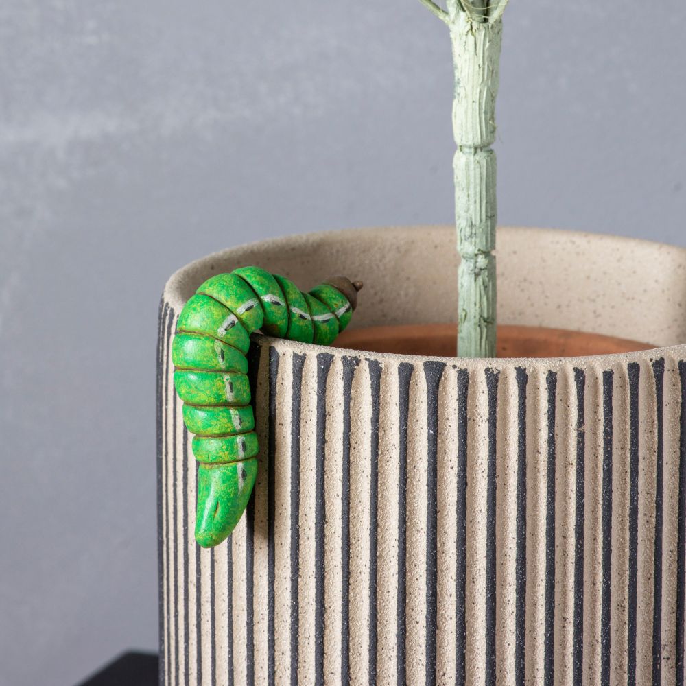 Cassandra Caterpillar Pot Hanger Set of 2