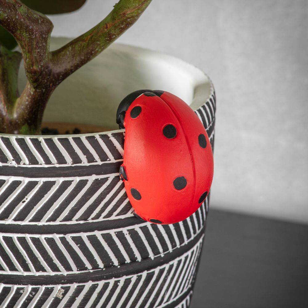 Lucky Ladybird Pot Hanger Set of 2