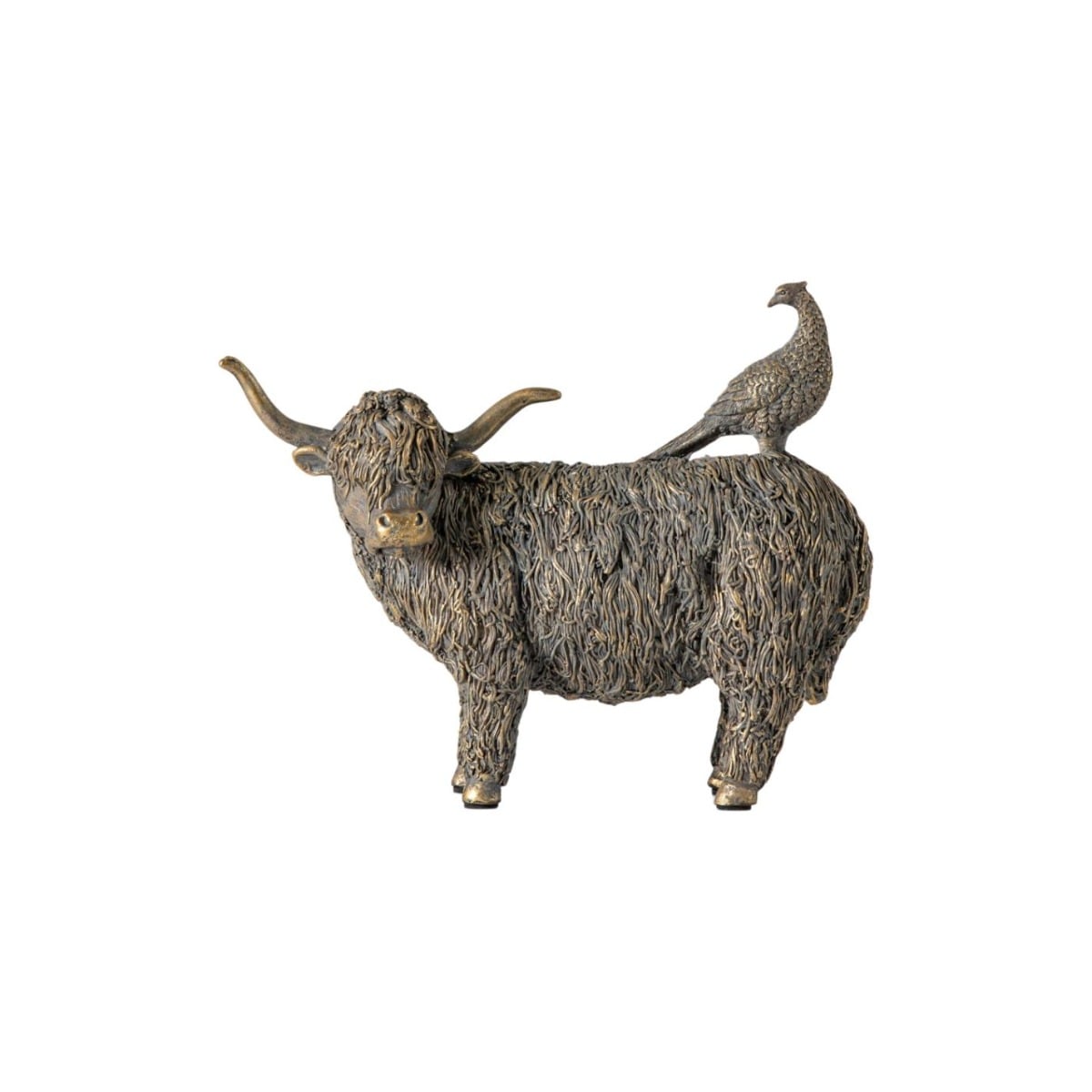 Highland Cow and Pheasant