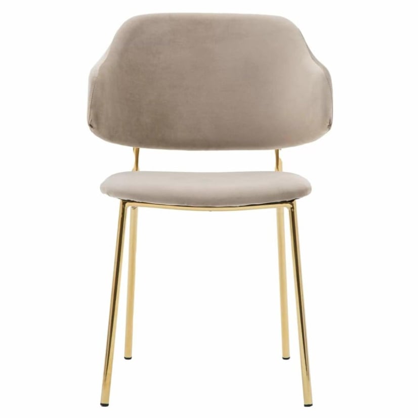 Aliyah Dining Chair in Taupe - Set of 2