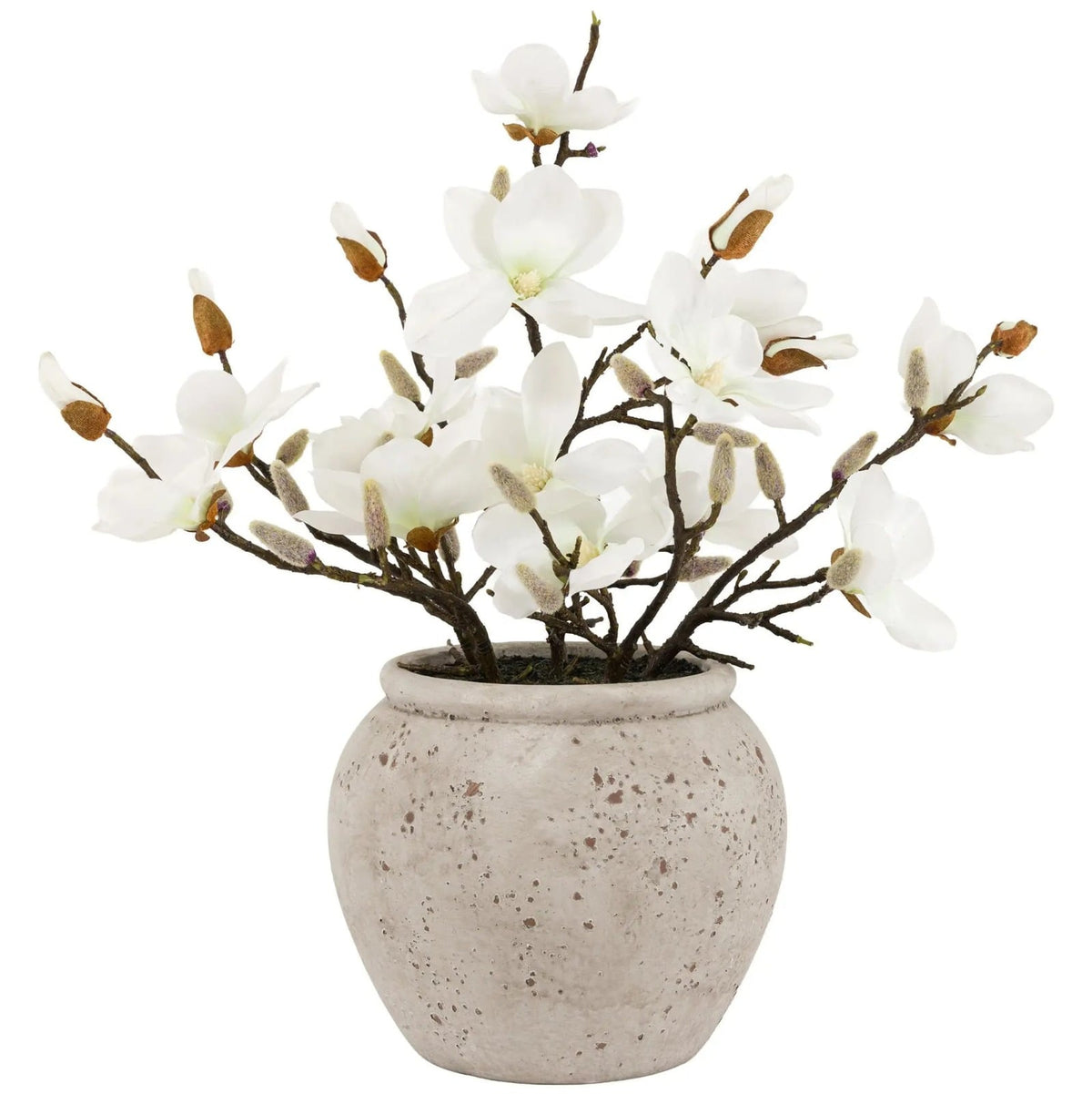 Magnolia Vase Arrangement