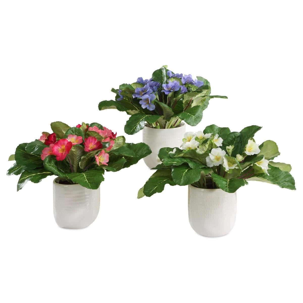 Trilogy Primrose Accents In Vases Set of 3