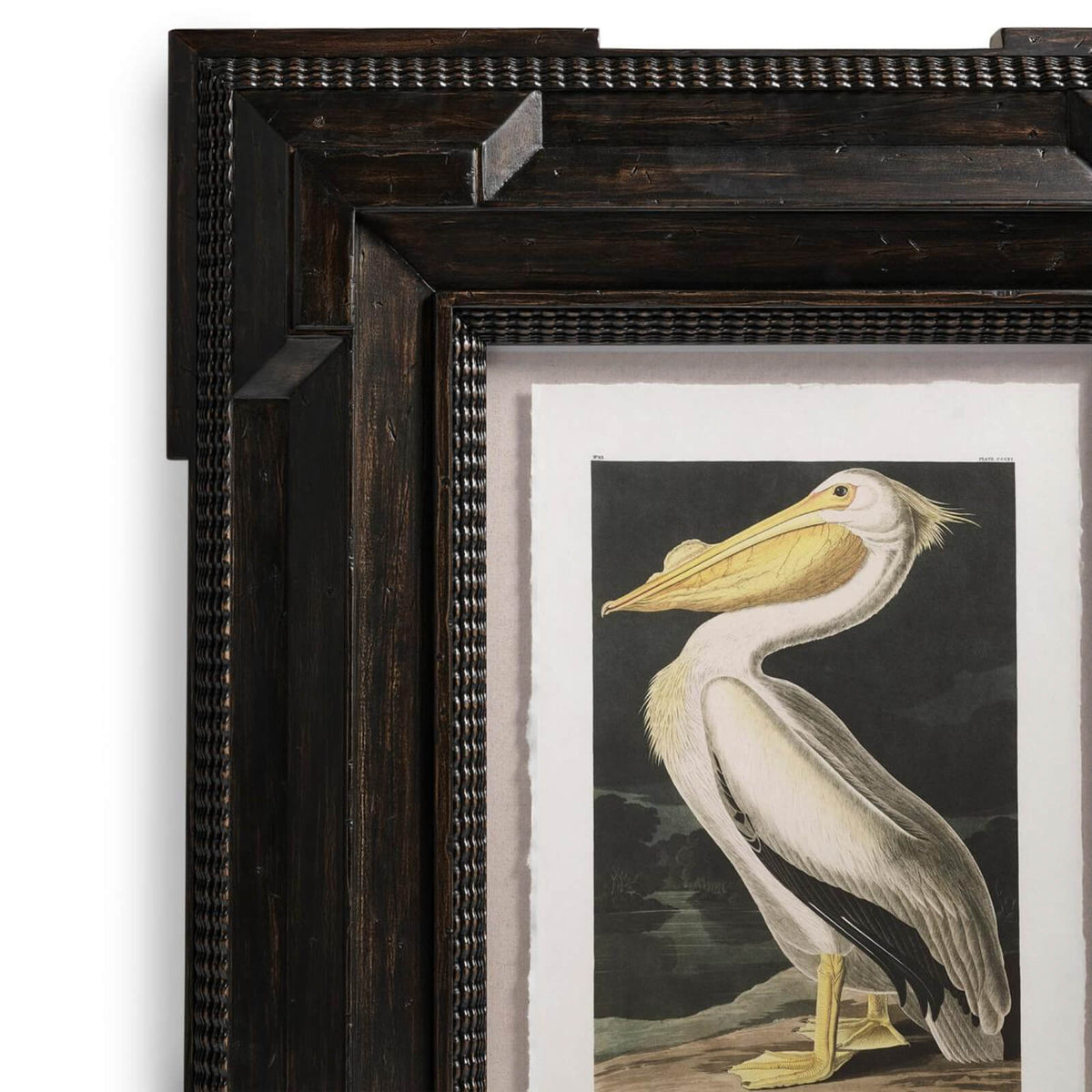 Audubon Birds Framed Prints - Set of 6