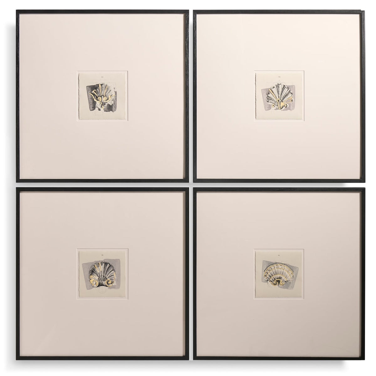 Architectural Clamshells Framed Prints - Set of 4