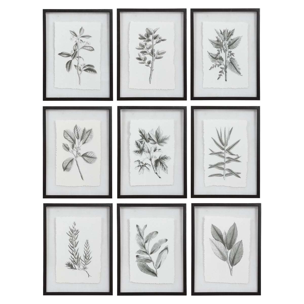  Farmhouse Florals Framed Prints, S/9