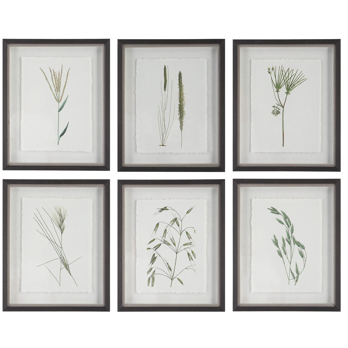  Forest Finds Framed Prints, S/6