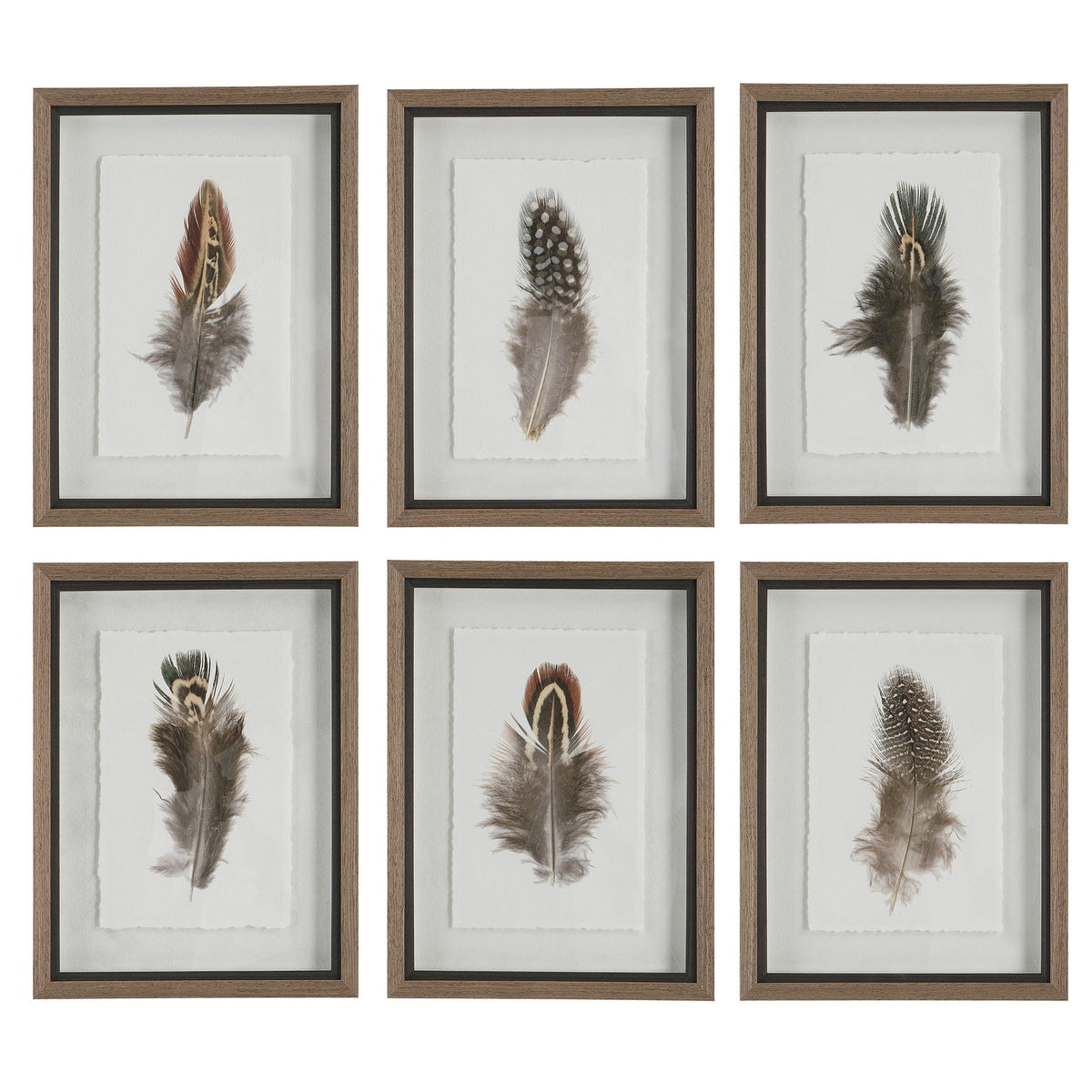  Birds Of A Feather Framed Prints, S/6