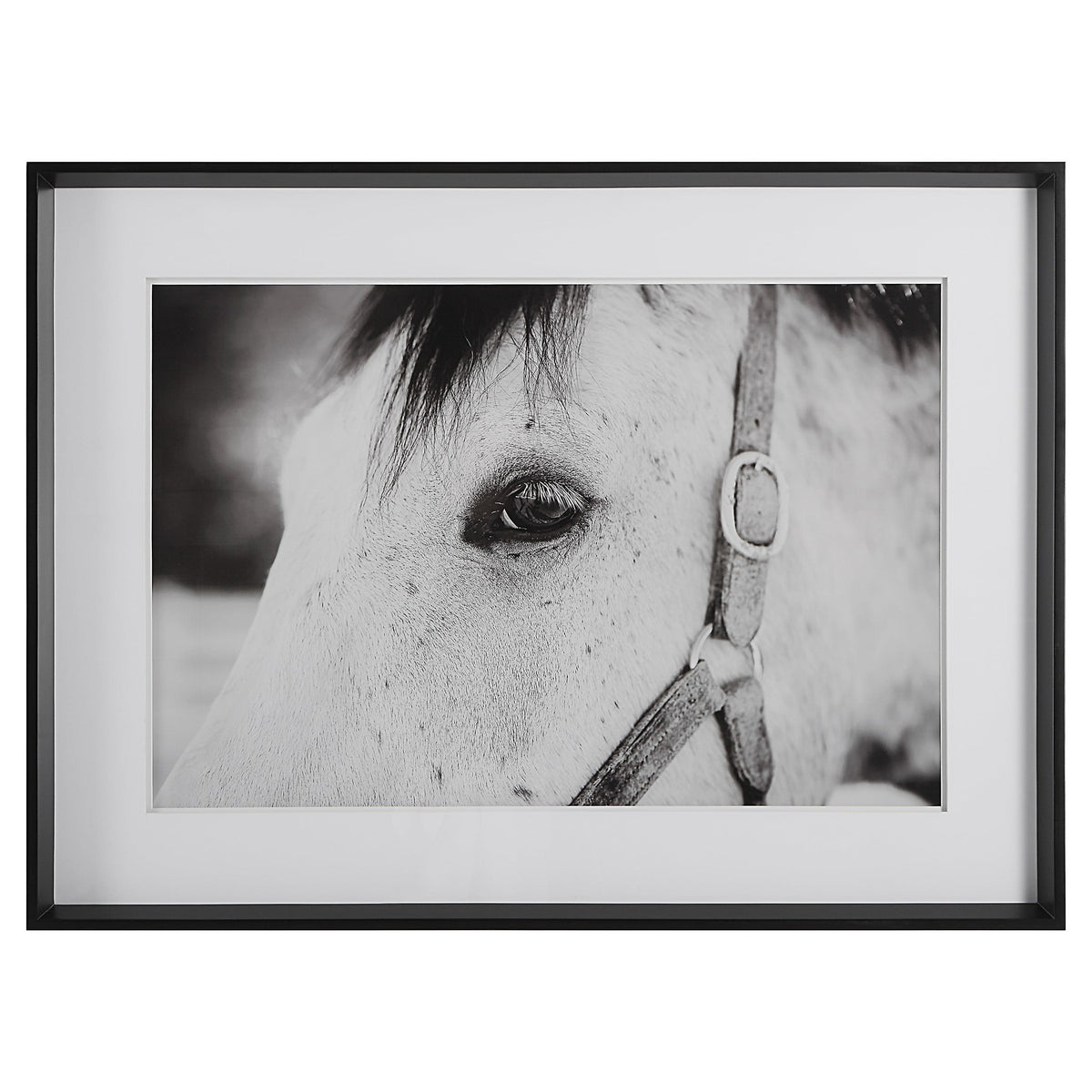  Eye Of The Beholder Framed Print