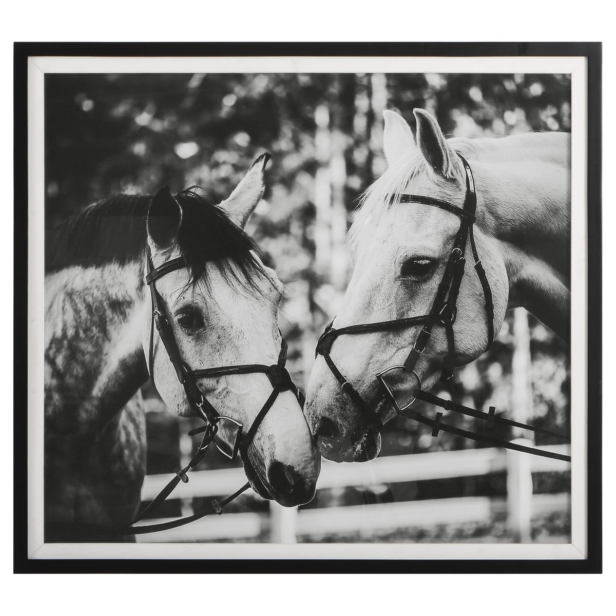  Apple Of My Eye Framed Print