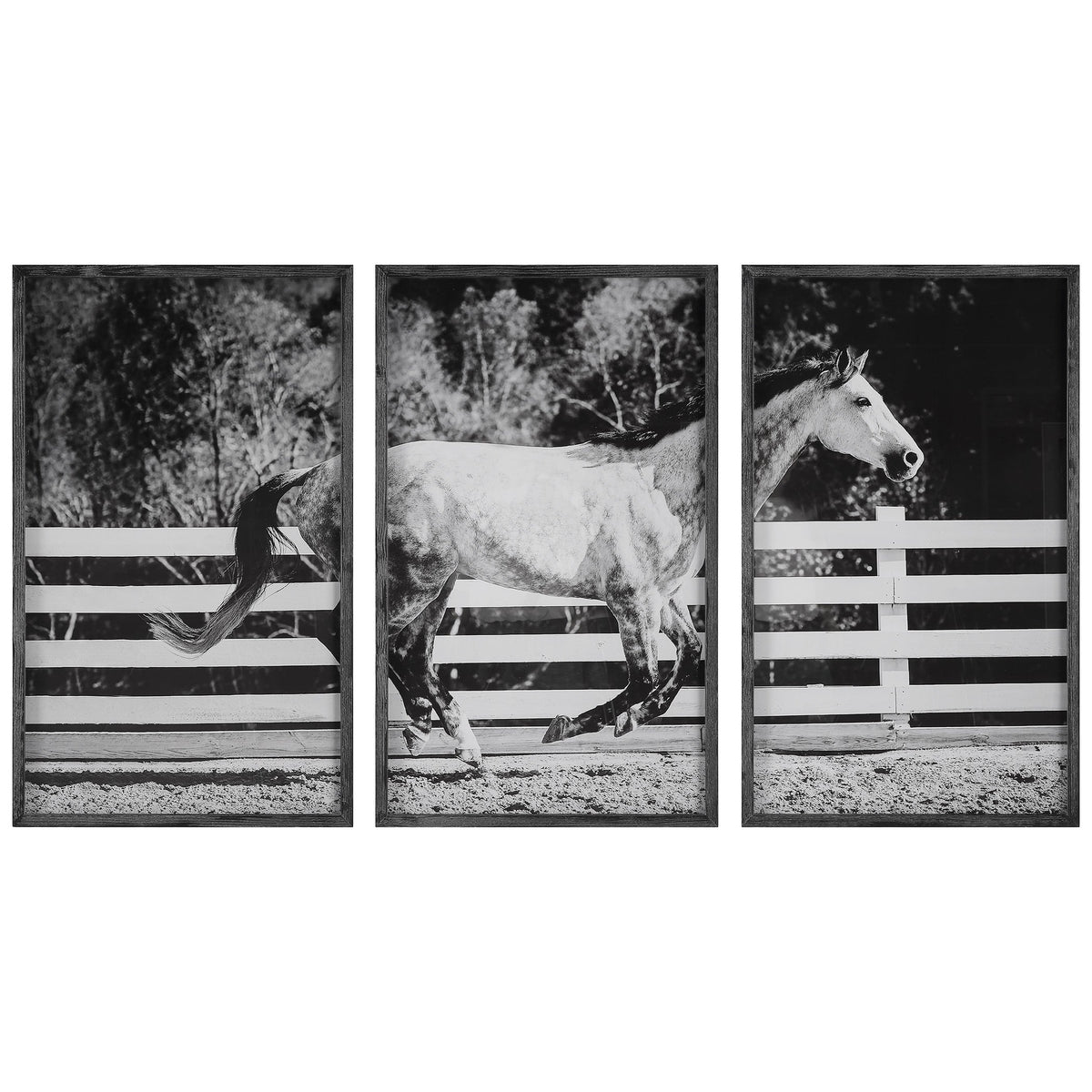  Galloping Forward Equine Prints
