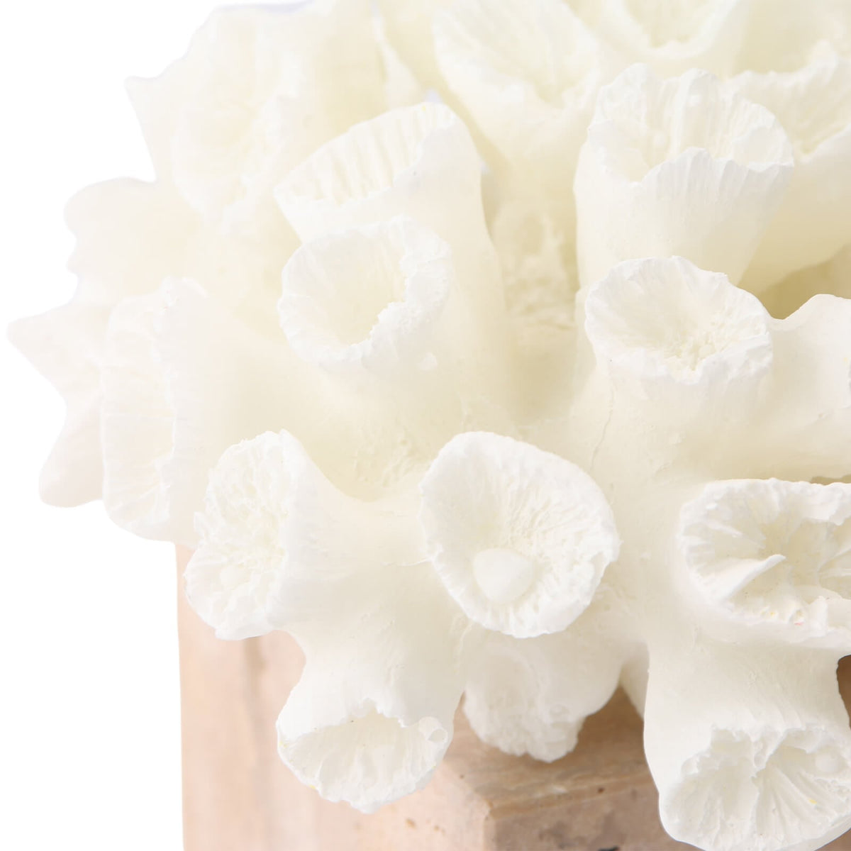 Vela Coral Ornament