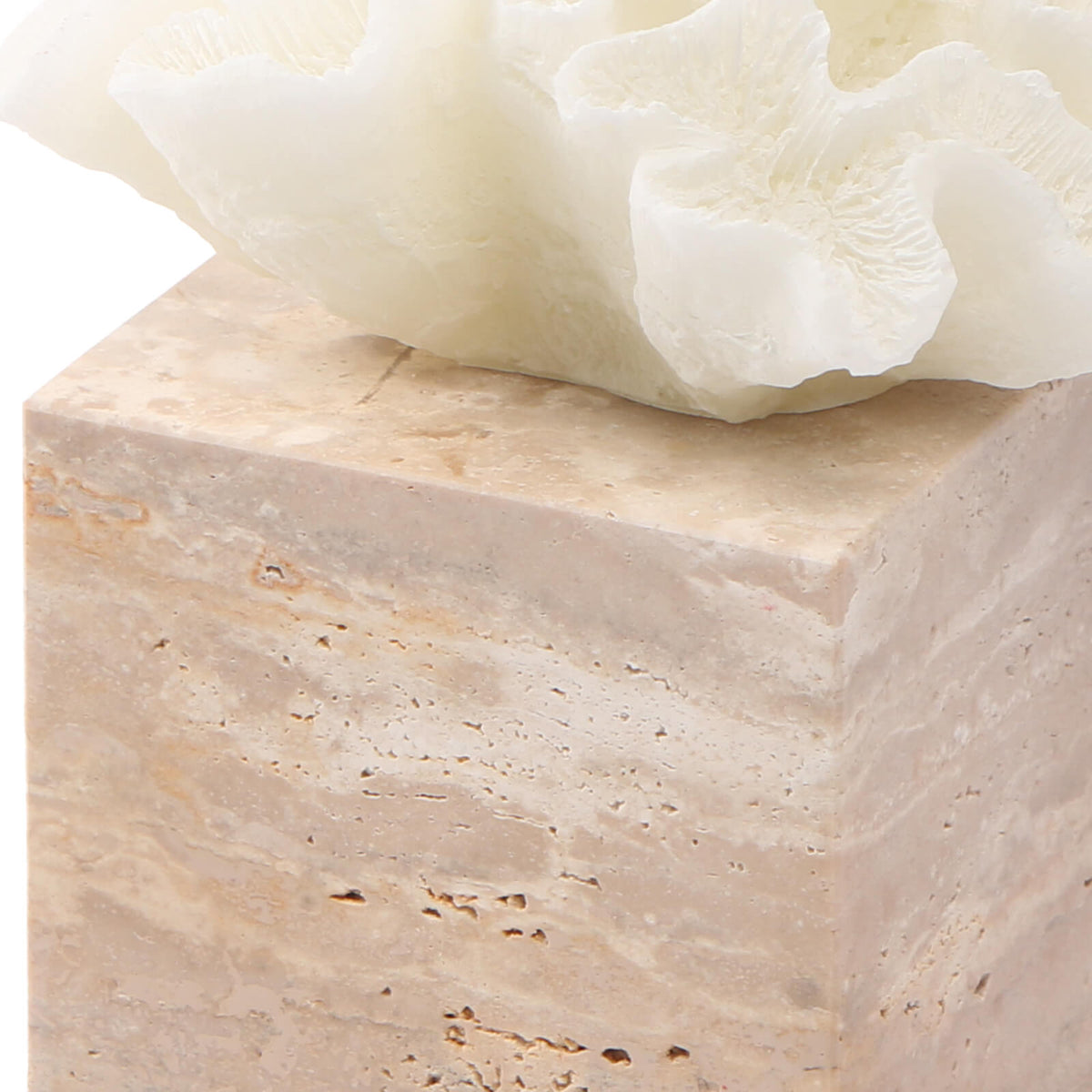Luma Coral Ornament