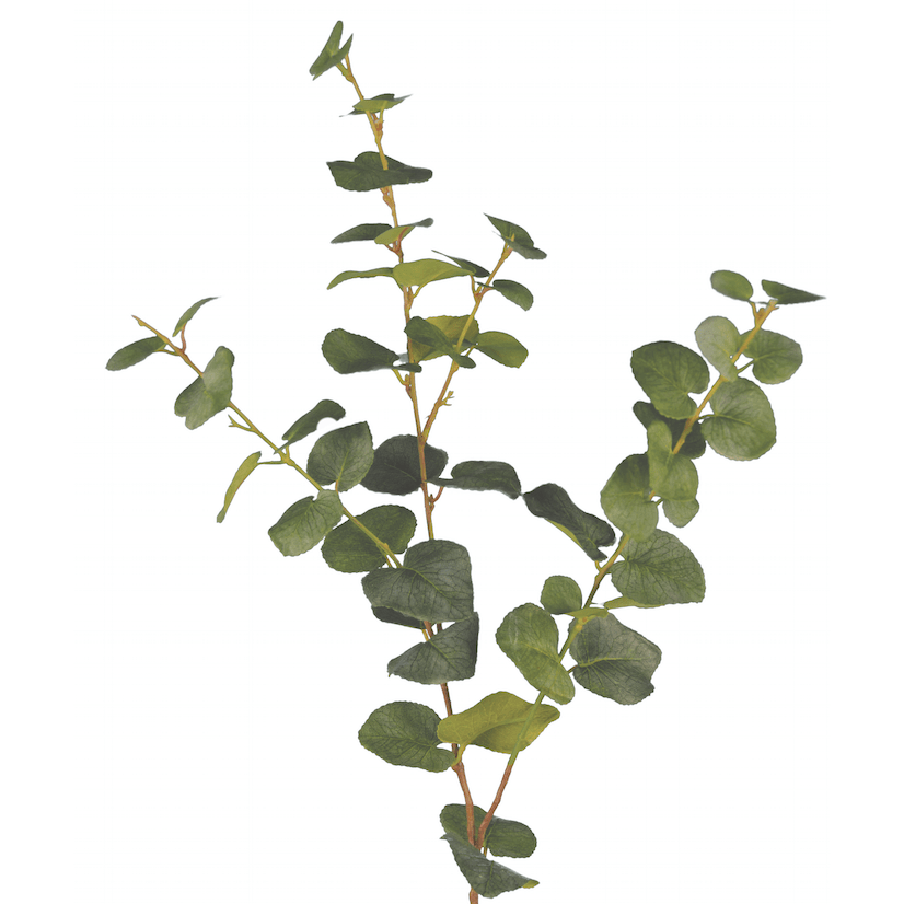 Artificial Eucalyptus