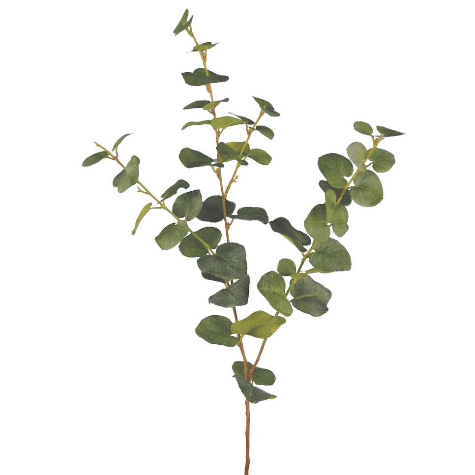Artificial Eucalyptus