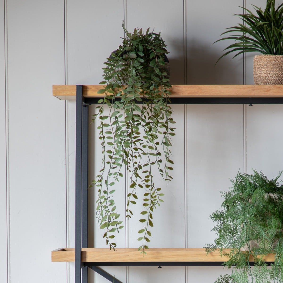 Trailing Fern in Soil Green L.60cm