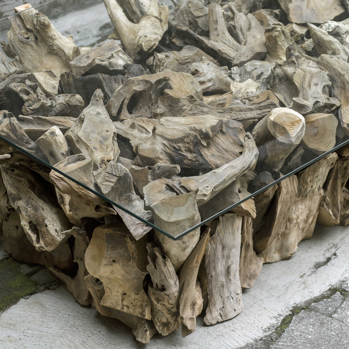 Teak Root Coffee Table