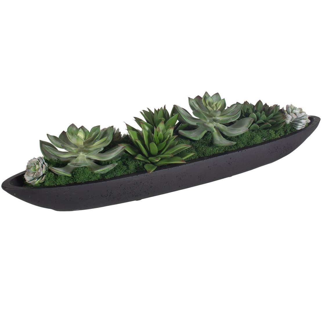 Verde Succulent Centerpiece In Bowl