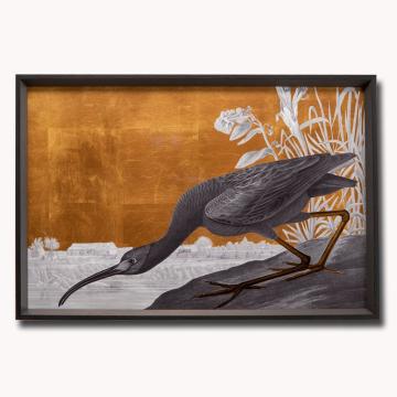 Glossy Ibis Luxe - Framed Print 77 x 52cm