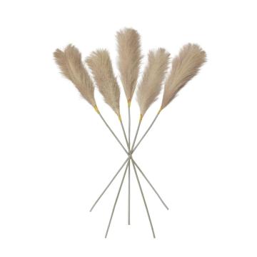 Goma Soft Feather Stem Blush Set of 5