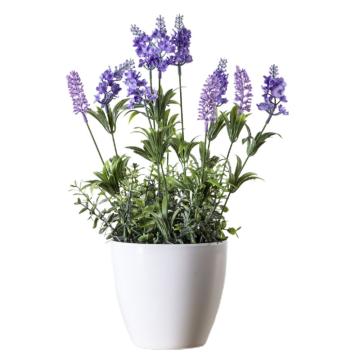 Lavender Heritage H.40cm