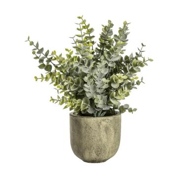 Eucalyptus in Rustic Pot H.26cm