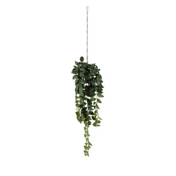 Hanging Philodendron Bush H.65cm