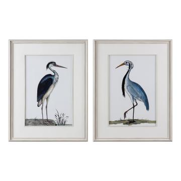  Shore Birds Framed Prints S/2