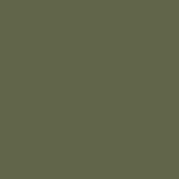 Farrow and Ball Bancha No.298 