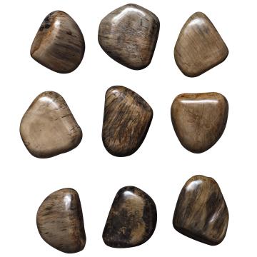  Pebbles Walnut Wood Wall Decor, S/9