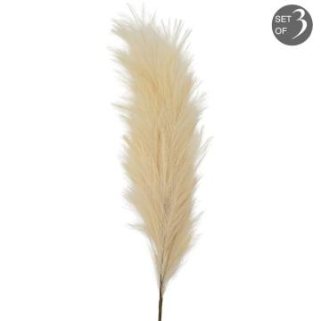 Feathered Stem Ivory Large Set of 3