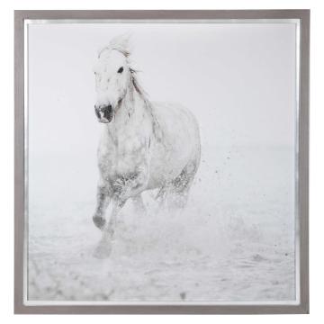 Running Free Framed Print